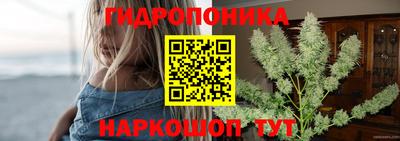 молекула духа Краснодар