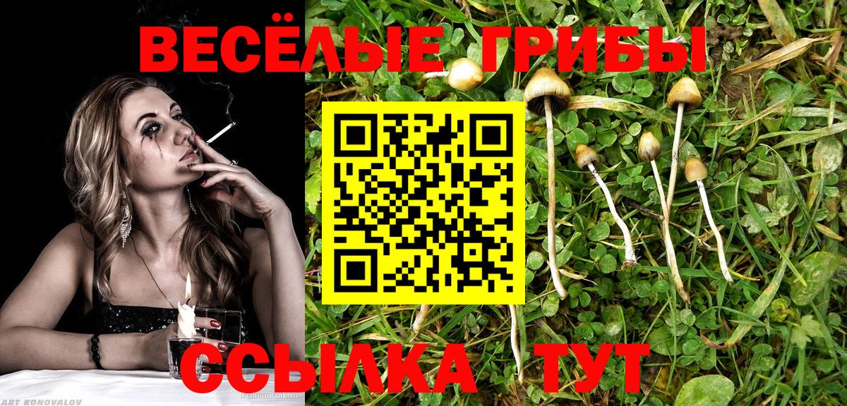 Галлюциногенные грибы Magic Shrooms Ишим